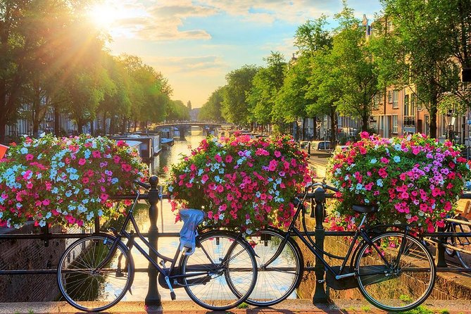 Amsterdam Day Trip from Brussels - What the guides add, and where the format can slip