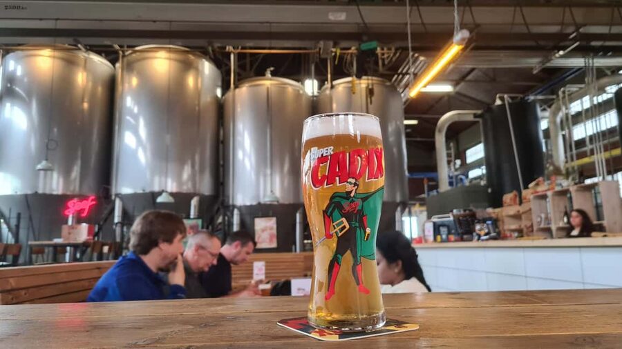 Antwerp: Pub Crawl in the Historical City - Should you book Antwerp’s historical pub crawl?
