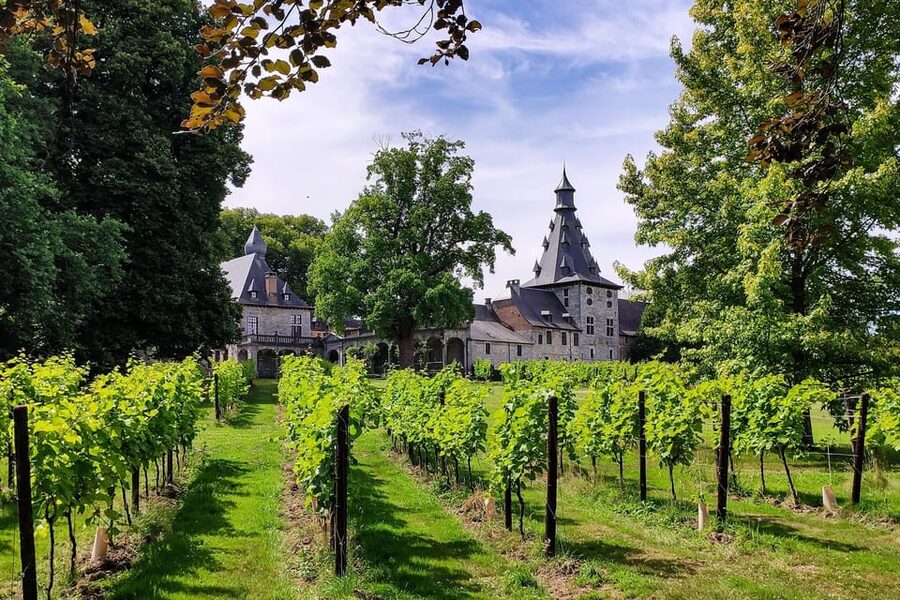 Bioul (near Dinant) : Château de Bioul Tour and Wine Tasting - From medieval seigneurie to family home