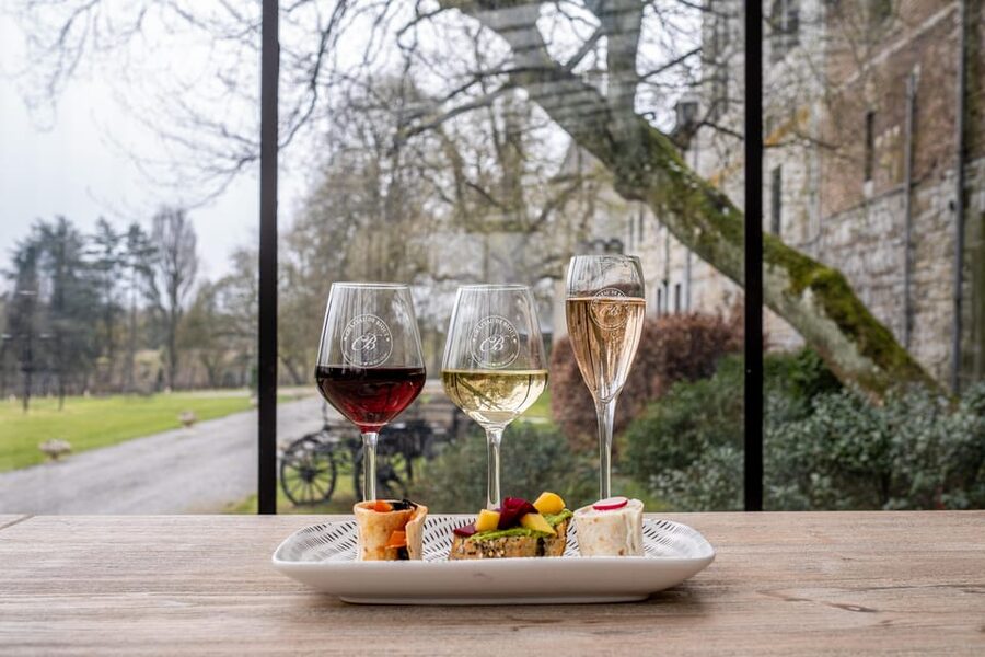 Bioul (near Dinant) : Château de Bioul Tour and Wine Tasting - Practical advice before you go