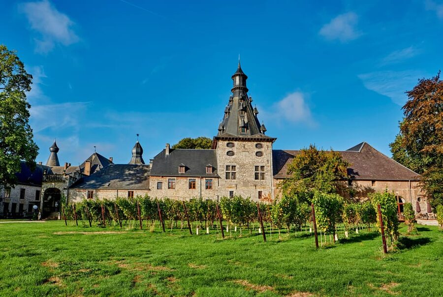 Bioul (near Dinant) : Château de Bioul Tour and Wine Tasting - Entering the château and its changing architecture