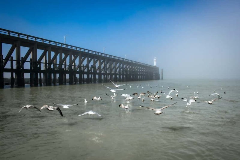 Blankenberge: Offshore Wind Farm Tour by Boat - Choosing clothes for a North Sea boat