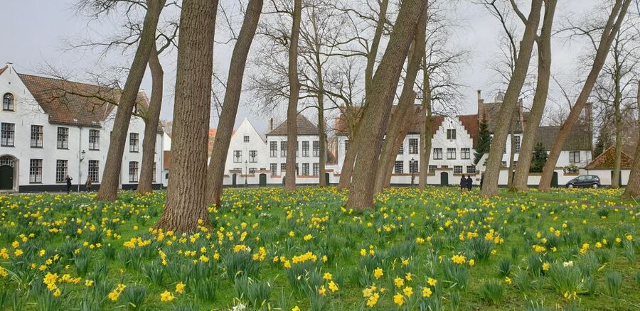 Bruges: 2.5-Hr Walking Tour from train station to Markt - From Bargeplein to Bruges’ medieval heart