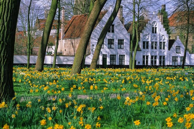 Bruges by bike with friends and family! - What makes this Bruges bike tour worth considering