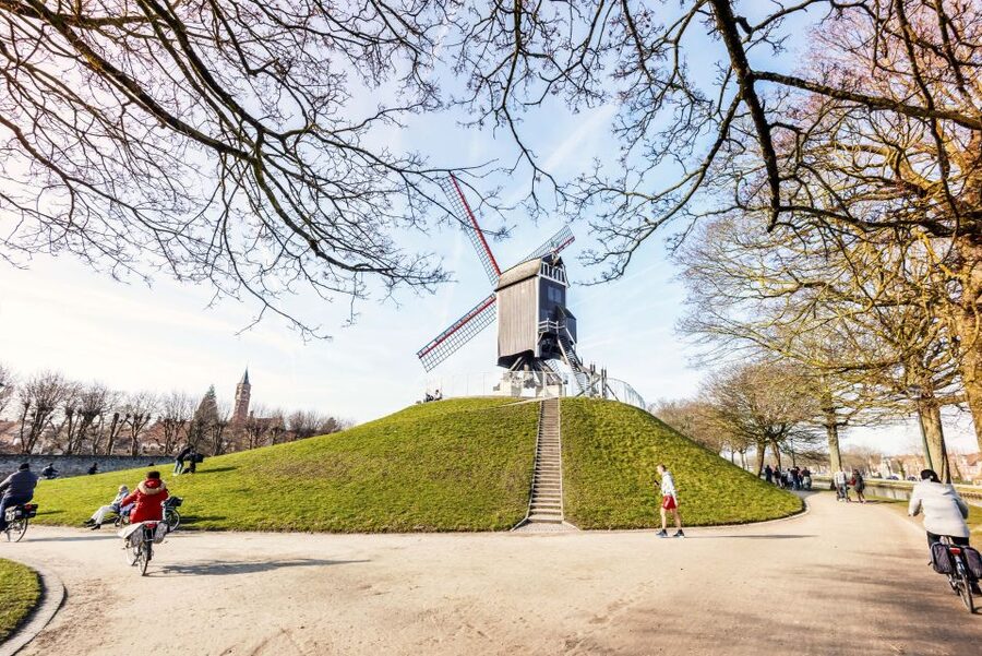 Bruges: Musea Brugge Card with Entry to 11 Museums - Key points to know before you go