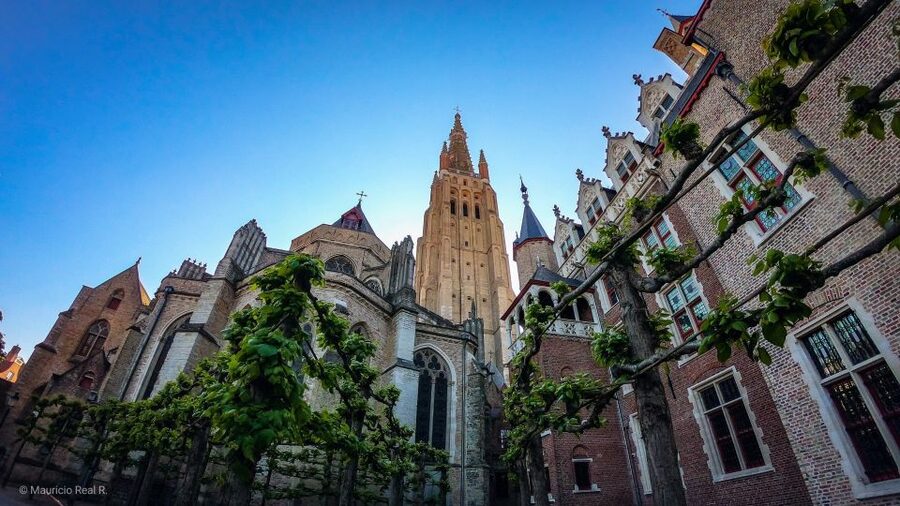 Bruges: Private Historical Highlights Walking Tour - Minnewater and the Beguinage