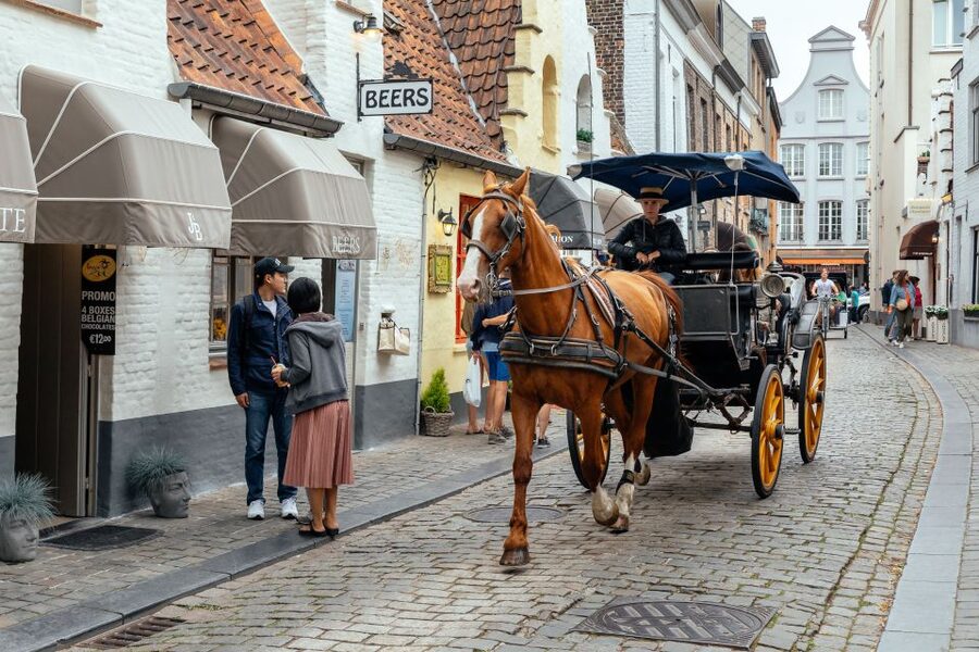 Bruges: Private Tour with Locals – Highlights & Hidden Gems - Booking flexibility and practical details