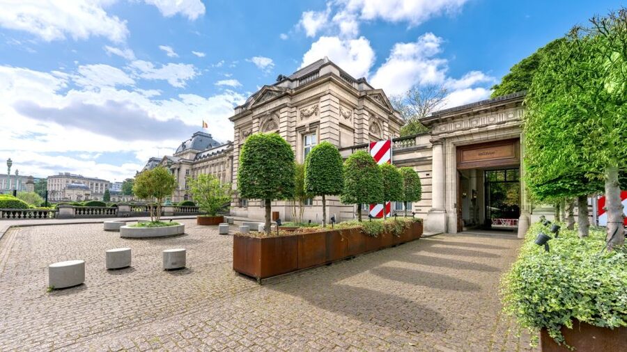 Brussels: BELvue Belgium History Museum Entry Ticket - Who will get the most from BELvue?