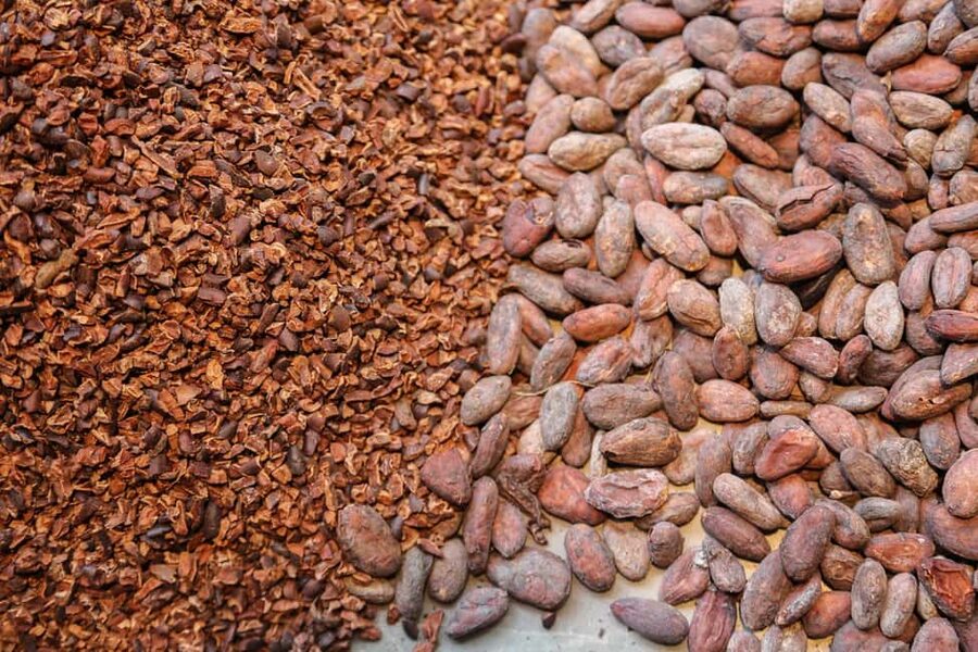Brussels: Chocolate Appreciation and Tasting Walking Tour - Who should book this walk?