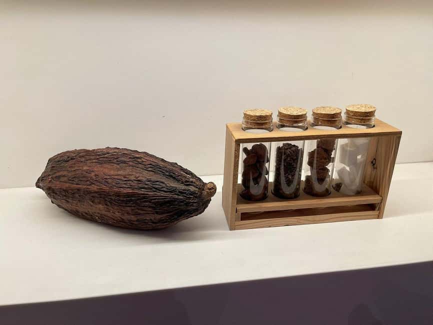 Brussels: Chocolate Appreciation and Tasting Walking Tour - Starting beneath Brussels’ historic glass galleries