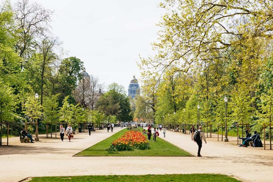 Brussels: City Highlights and Hidden Gems Bike Tour - Who should take this Brussels bike tour?