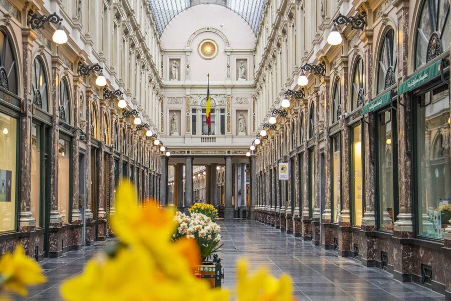 Brussels: Express Walk with a Local in 60 minutes - A fast introduction to Brussels, not a full city tour