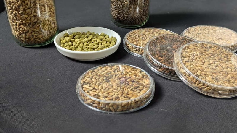 Brussels: micro brewery & distillery tour + beer tasting - Two beer styles, served at the source