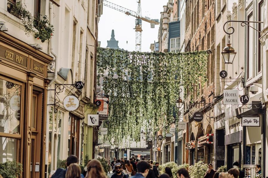 Brussels: Private Tour of the European Quarter - Price, group size, and what you actually receive
