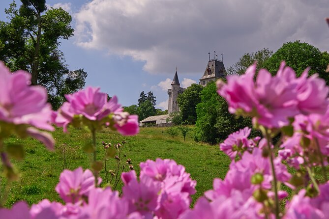 Castle Guided Tour (English) - Climbing the tower for Ardennes views