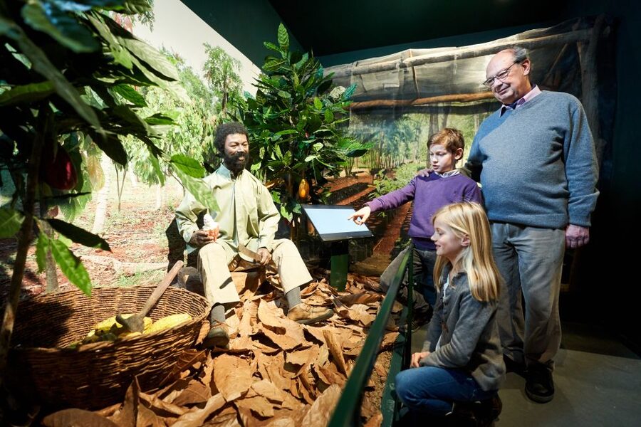 Choco-Story Brussels: Chocolate Museum Entrance with Tasting - Is the $18 ticket good value?