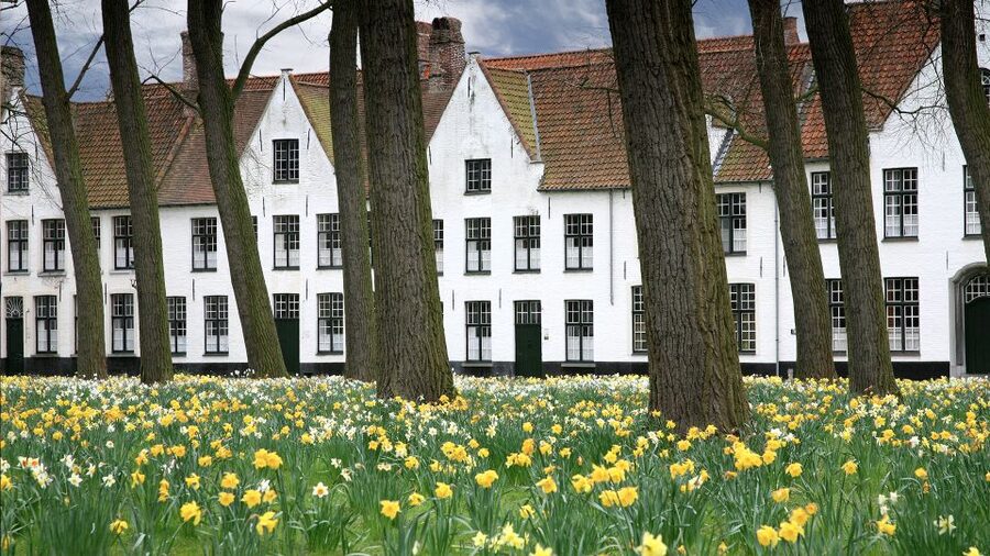 From Amsterdam: Bruges Day Trip in English with Boat Option - Burg Square and the Basilica of the Holy Blood