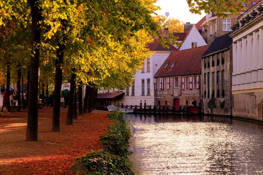 From Amsterdam: Bruges Day Trip in Spanish with Boat Option - Who should book this Bruges outing?