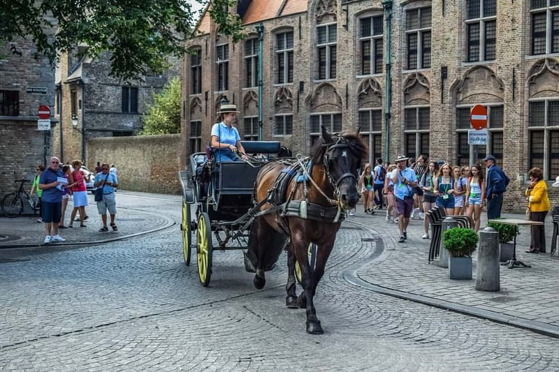 From Amsterdam: Private Sightseeing Tour to Bruges - Four Hours to Find Your Own Bruges