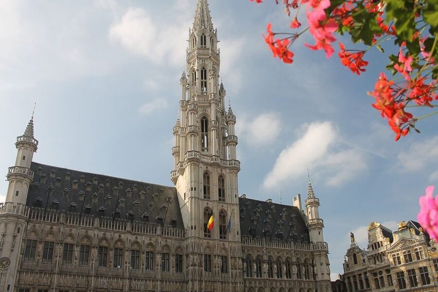 From Amsterdam: Private Sightseeing Trip to Brussels - Why private transport matters on this day