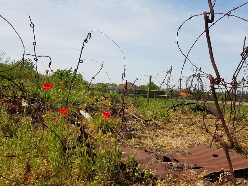 From Bruges: Great War Flanders Fields Minibus Tour w/ Lunch - Passchendaele, Polygon Wood, and the war graves