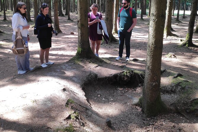 Historic Battle of the Bulge Sites Tour from Brussels - Is the $701.35 price worth it?