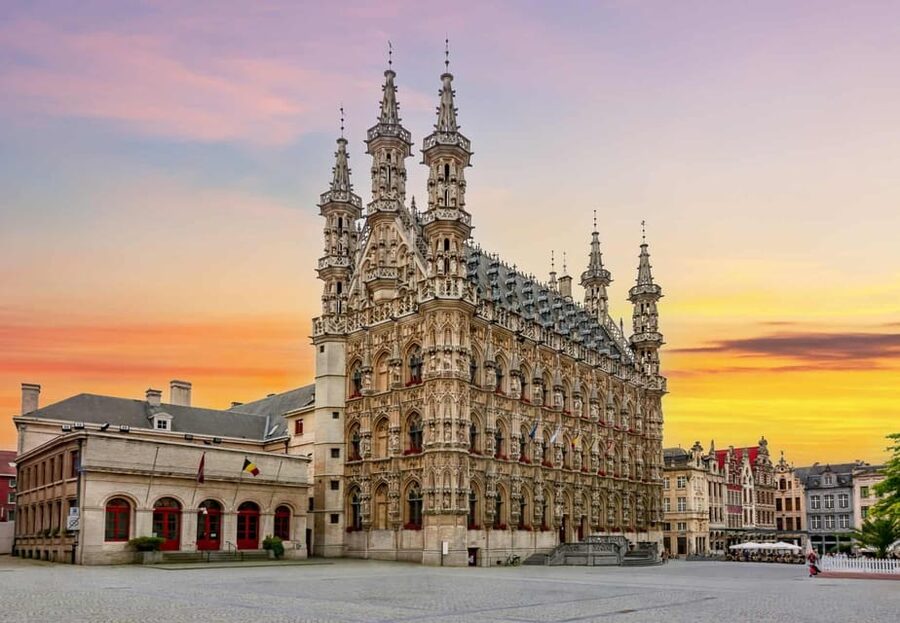 Historical Leuven: Private Walking Tour with a Local Guide - Who will get the most from this Leuven walk