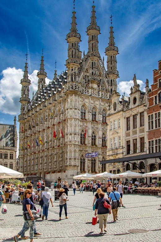 Historical Leuven: Private Walking Tour with a Local Guide - How to make the most of your 90 minutes