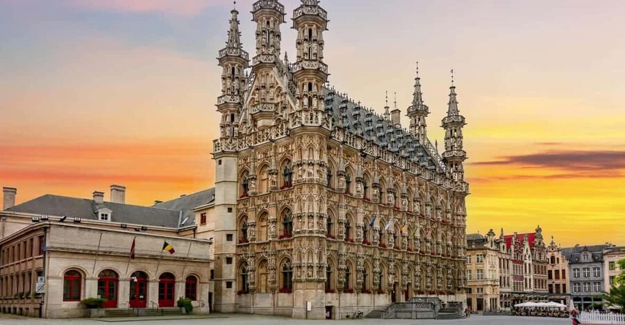 Historical Leuven: Private Walking Tour with a Local Guide - What the university city adds to the walk