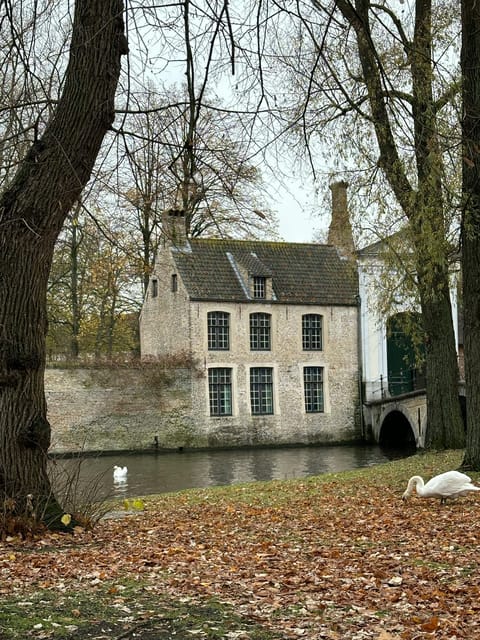 Historical walk in Bruges with local guide. Praline included - Burgundy Wall Square and the brewery quarter