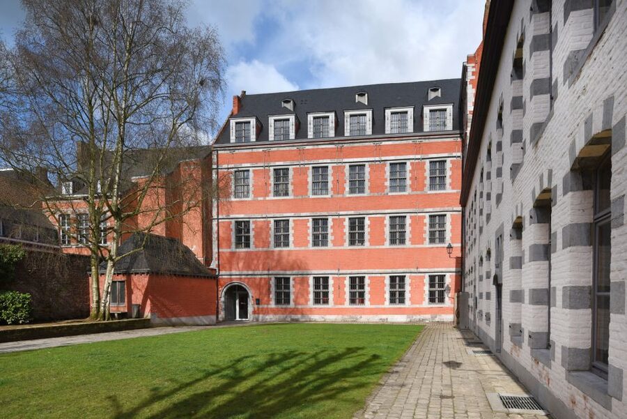 Mons : The Doudou Museum - Films that make the festival easier to picture