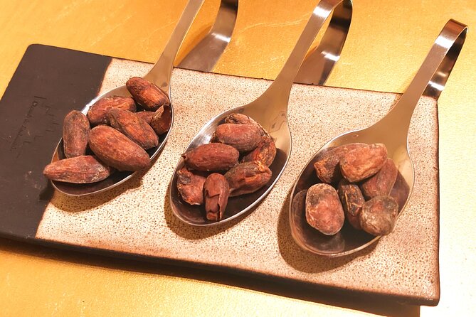 Private Chocolate Experience in Ghent - Cacao Beyond the Finished Chocolate