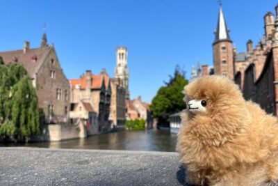 Private Full-Day Tour Bruges & Ghent from Brussels with tastings