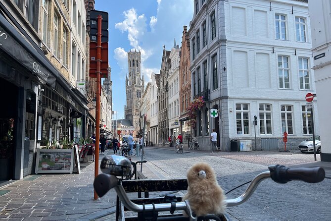 Private Full-Day Tour Bruges & Ghent from Brussels with tastings - Timing, walking, and the shape of the day