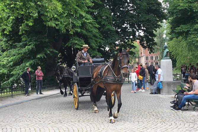 Round-Trip Shuttle Service from Zeebrugge to Bruges - From the cruise ship to the Zeebrugge pickup point