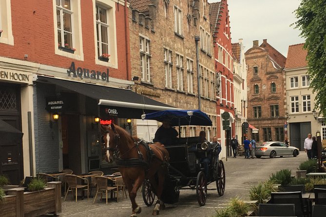 Round-Trip Shuttle Service from Zeebrugge to Bruges - Who will like this shuttle most?