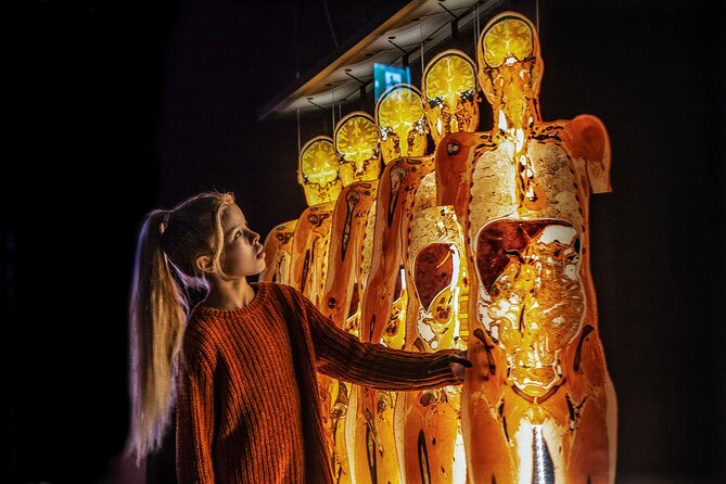 Ticket Expo Body Worlds in Bruges, Belgium - What you see in the first rooms