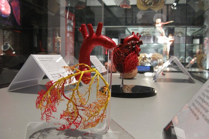 Ticket Expo Body Worlds in Bruges, Belgium - The anatomical mirror and other interactive elements