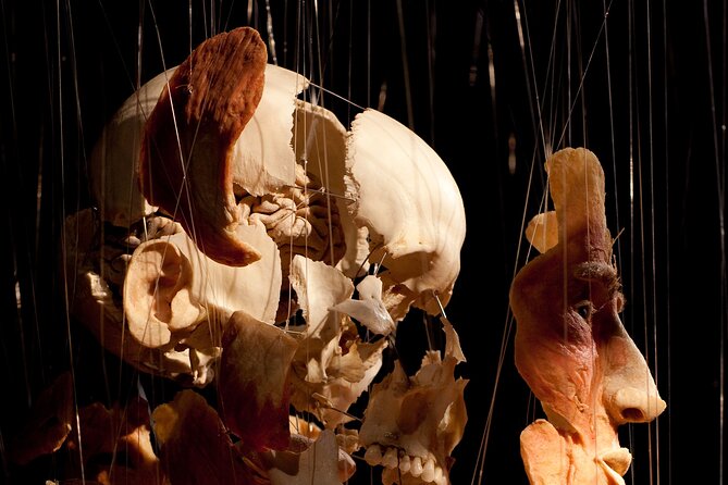 Ticket Expo Body Worlds in Bruges, Belgium - Why the former hospital setting works