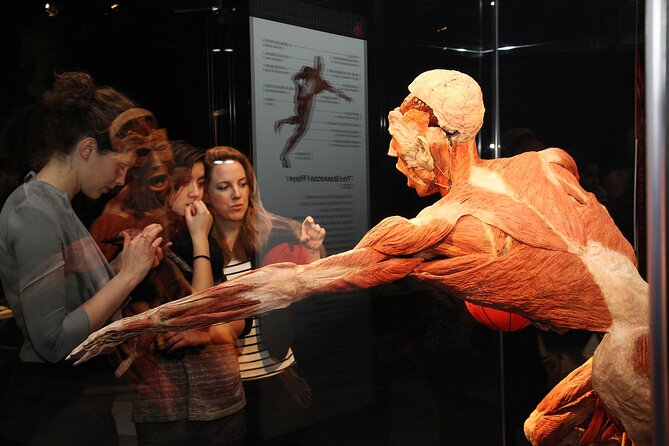 Ticket Expo Body Worlds in Bruges, Belgium - Is $81 good value?