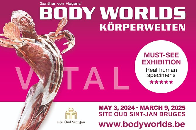 Ticket Expo Body Worlds in Bruges, Belgium - Health, disease, and the body under stress