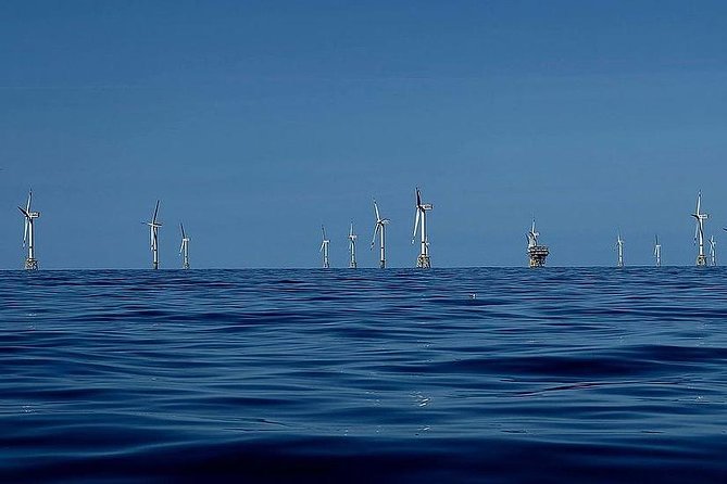 Unforgettable sea trip to the wind farms in the North Sea - From Blankenberge harbor to the open North Sea