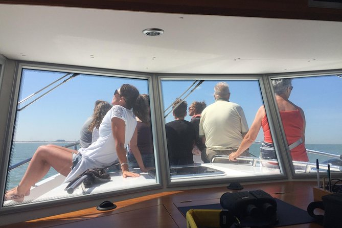 Unforgettable sea trip to the wind farms in the North Sea - The chance of seeing wildlife